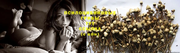 кокс Медвежьегорск