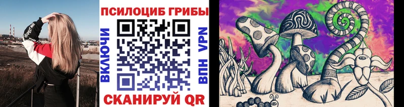 Псилоцибиновые грибы мицелий  закладки  Кирсанов 