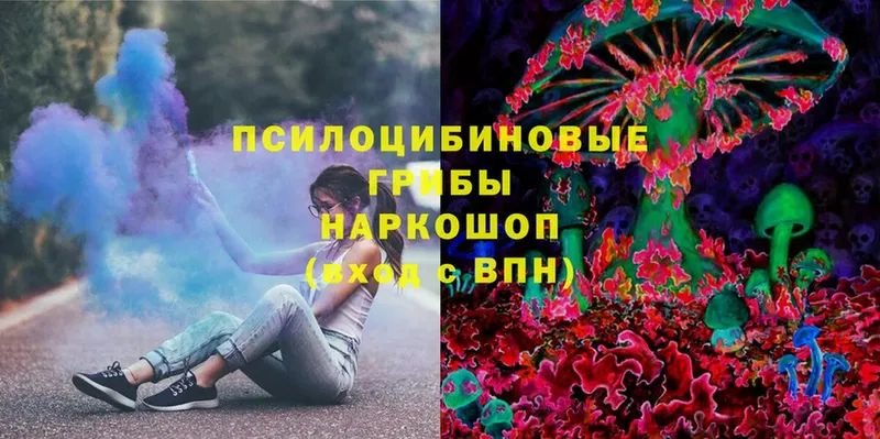 Псилоцибиновые грибы Psilocybe  Кирсанов 